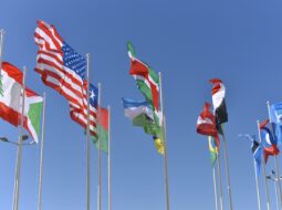 Multinational Investment Framework