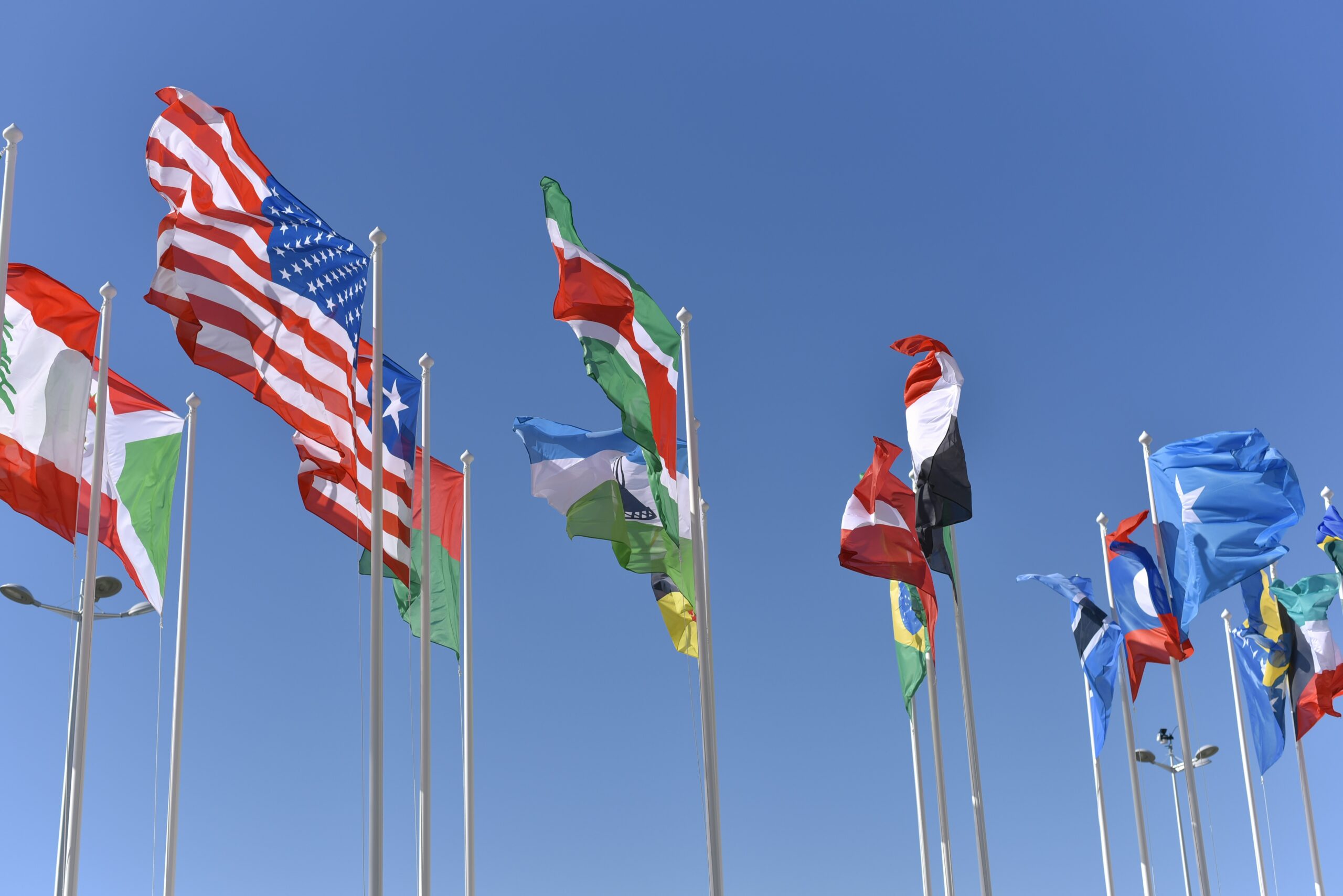Multinational Investment Framework